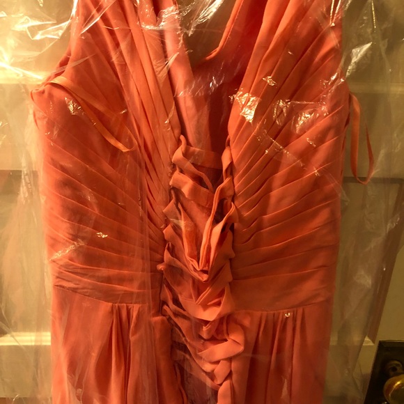 Meet your Posher, Leilani - Picture 3 of 6